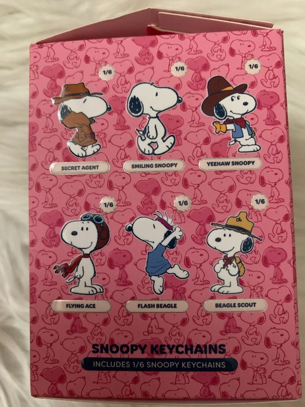 PEANUTS X CELAVI Snoopy Beauty Blind Box (3 Lip Oils + Surprise Key Chain)